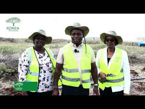 Tree Growing Session at Konza Technopolis: Road to 15 Billion trees 