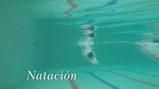 Natación