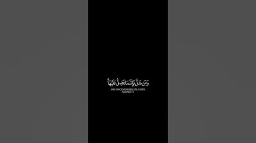 وكل إنسان الزمناه طائره في عنقه ونخرج له يوم القيامة كتابا يلقاه . [ سورة الإسراء] #شاشة_سوداء #قران