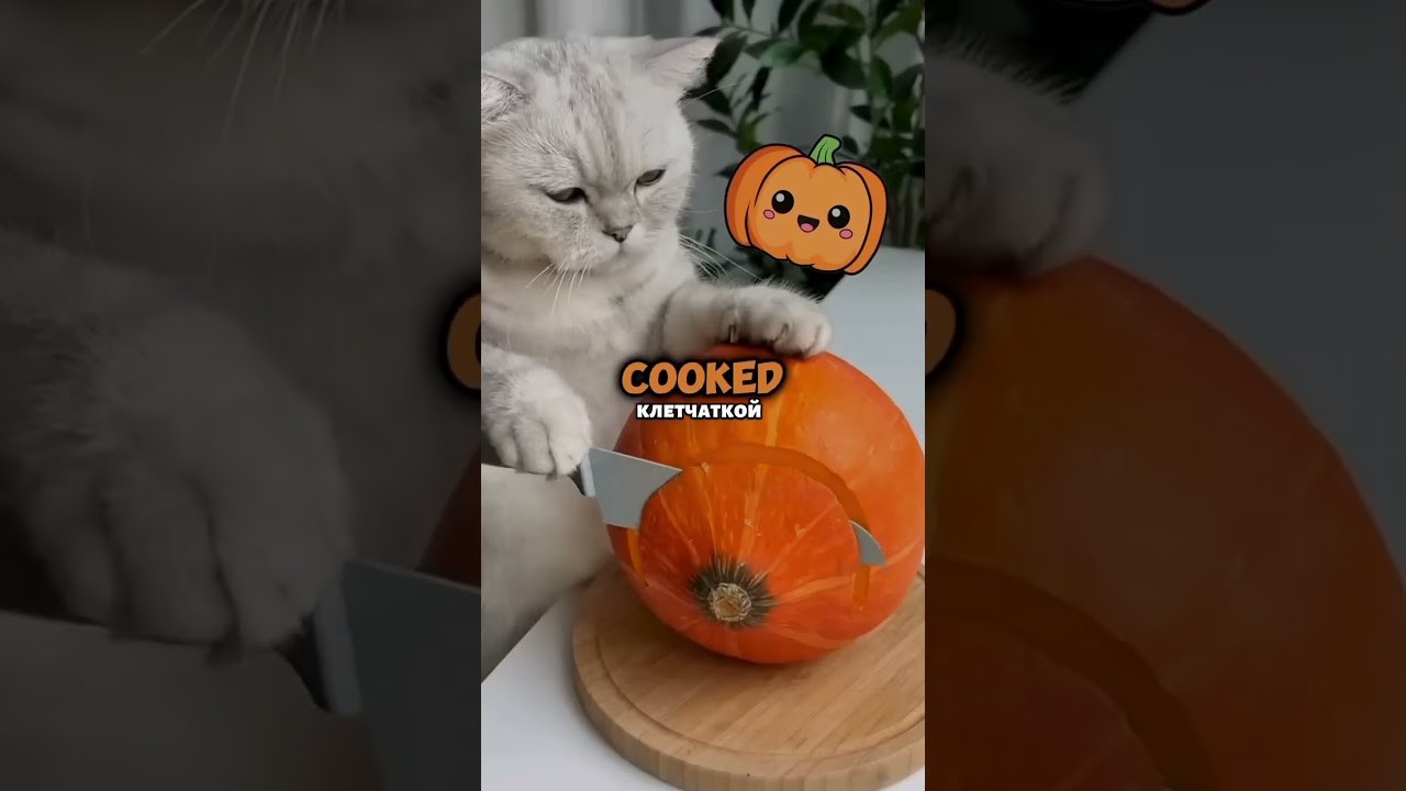 ЛОСЕСОВОЕ МАСЛО артикул WB 