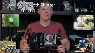 Testing the Divevolk Underwater External Shutter. My new favourite!