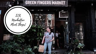 I visit SIX Plant Shops in Manhattan, NYC!