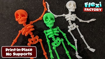 3D printed Flexi Skeleton