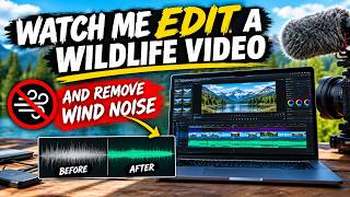 Watch Me Edit a Wildlife Video and How to Remove Wind Noise in Adobe Premiere