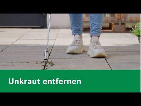 DIY knowledge: removing weeds