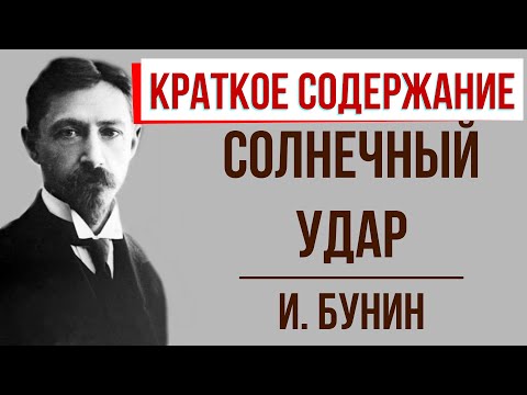 Солнечный удар. Краткое содержание