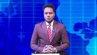 WARKA UNIVERSAL TV 16 08 2026