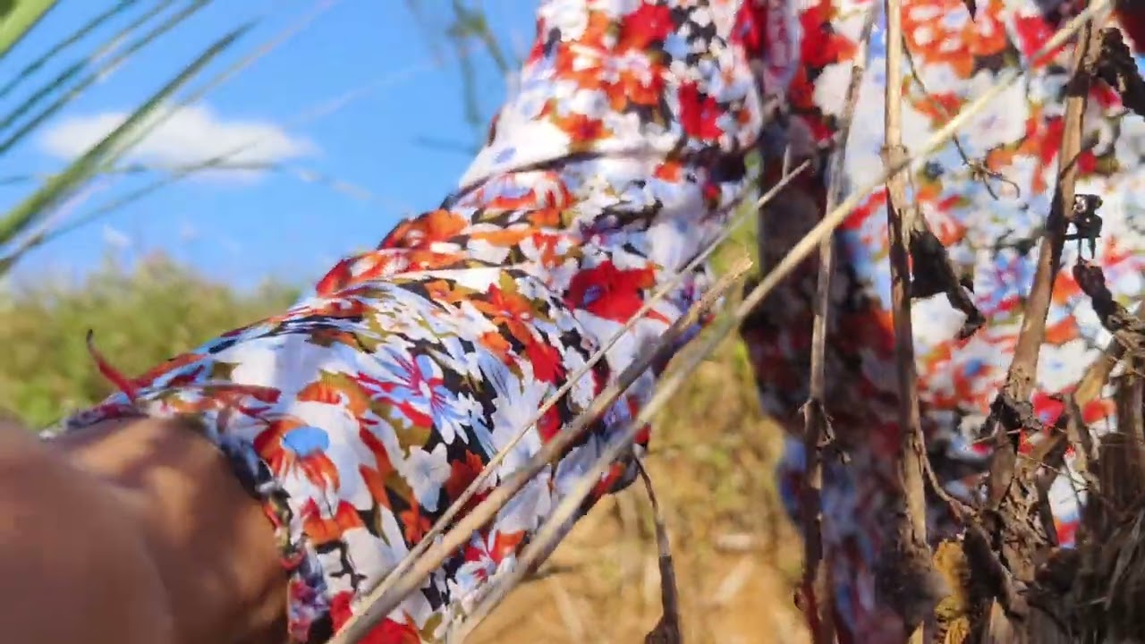 พามาเบิ่งสวนแขม