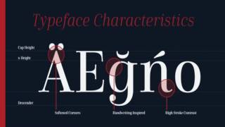 Cabrito Didone™ Font example