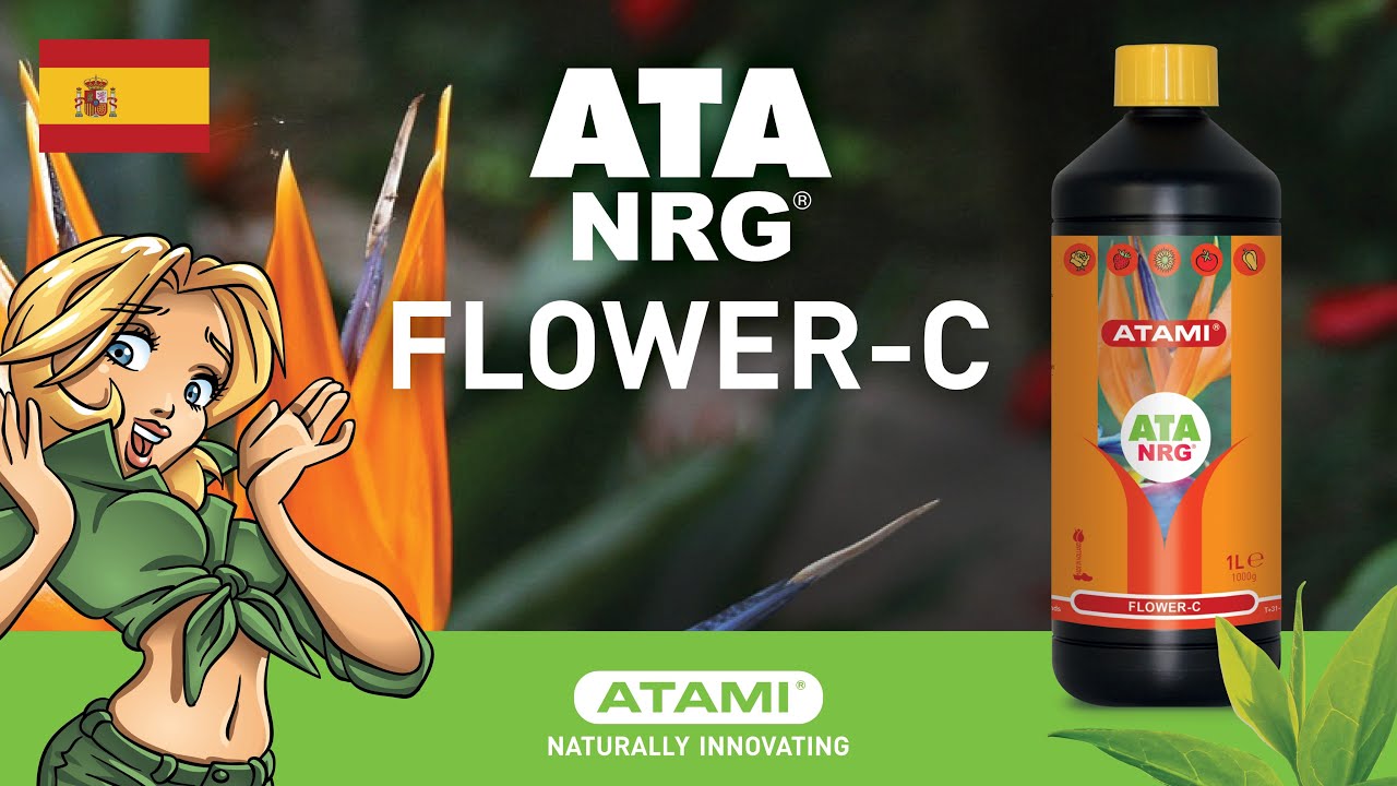 ATA NRG Flower-C | (ES)