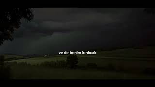 Ne Bakıyon Simit Var Poğaça Var