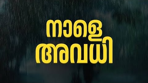 BIG NEWS - കനത്ത മഴ നാളെ ഒരുപാട് ജില്ലകളിൽ അവധി #mazha#mazha#’mazhaavadhi