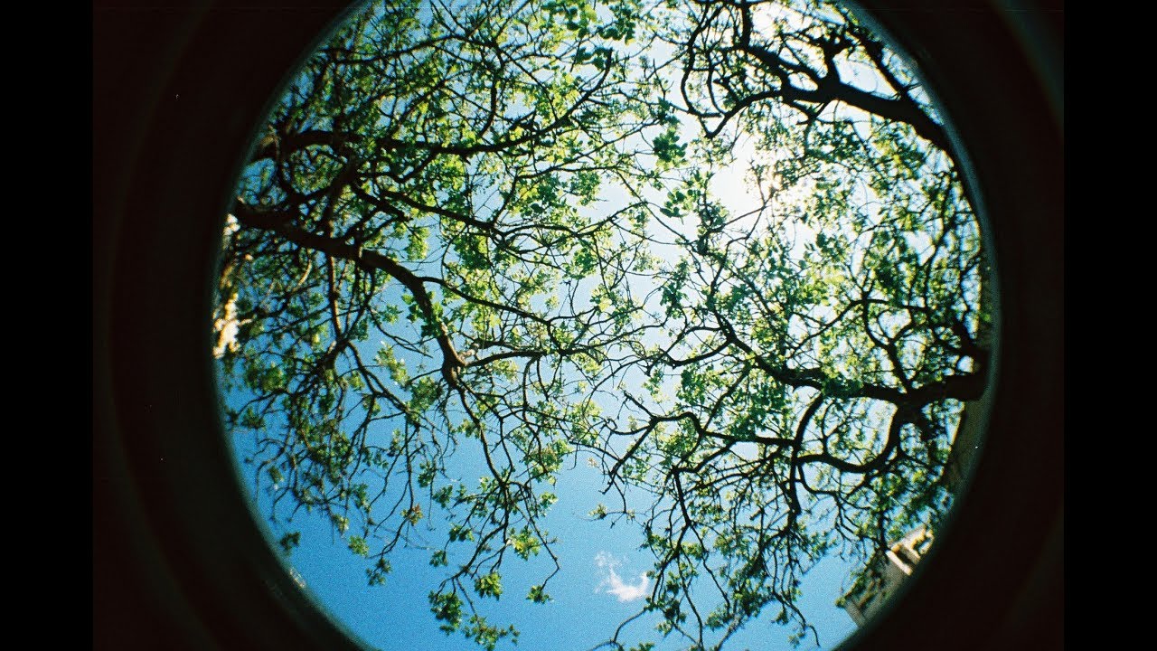 "Come Closer" Sillyboy's Ghost Relatives