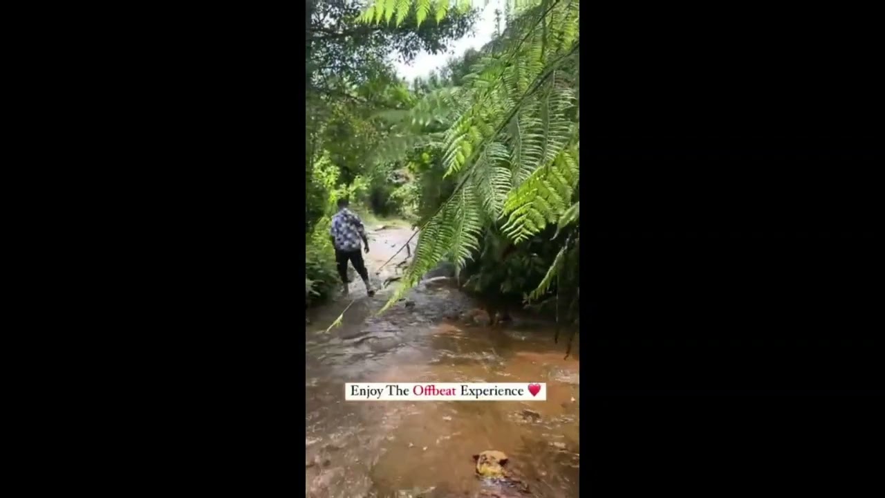 Horanadu, Kalasa | Zodiac Homestay | Kudremukha Homestays | Book Your Stay | Free Personal Advisor