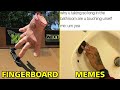 Try Not To Laugh Watching Funny Fingerboard Memes!