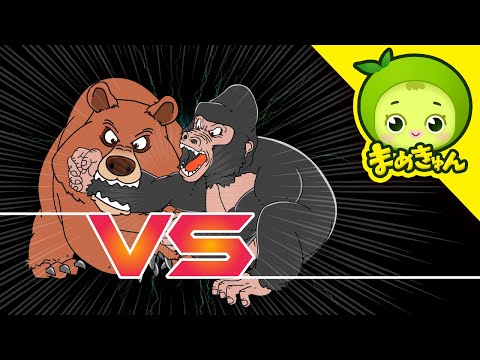 コディアックヒグマvsゴリラ | 動物バトル | まめきゅん