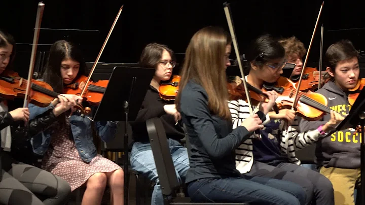 2020 WLHS Spring ChamberOrchestra Tango Mariana Jo...