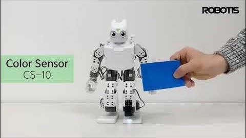 ROBOTIS MINI Sensor Applications