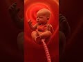 9 Months of Growth in 10 Seconds 👶❤️ #baby #viral #usa #newborn