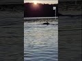 Young Kayaker Has Close Encounter With Whale 🐋