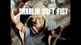 SHAOLIN SOFT FIST LUOHAN SHI SAN SHI screenshot 2