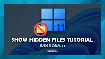How To: Show Hidden Files In Windows 11 - (Quick & Easy)