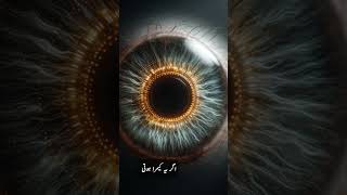 “Human Eye Power — 576 Megapixel Vision Explained