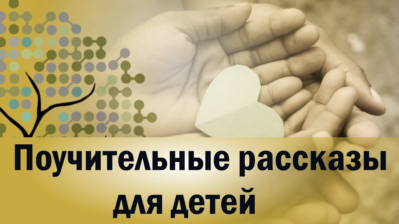 3 мудрых и поучительных рассказа для детей о дружбе, человечности и ...