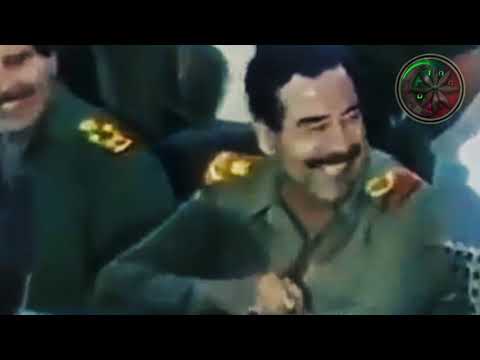بغداد يا قلعة الأسود