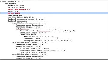 BGP 32 bit (4 Byte) ASN and 2 byte compatibility
