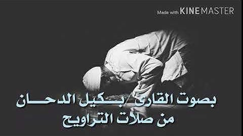 صوت القارئ بكيل الدحان