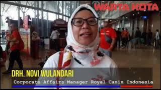 526 Dog Lovers Meriahkan Event 'Dog Walks 2019‎' di ICE BSD