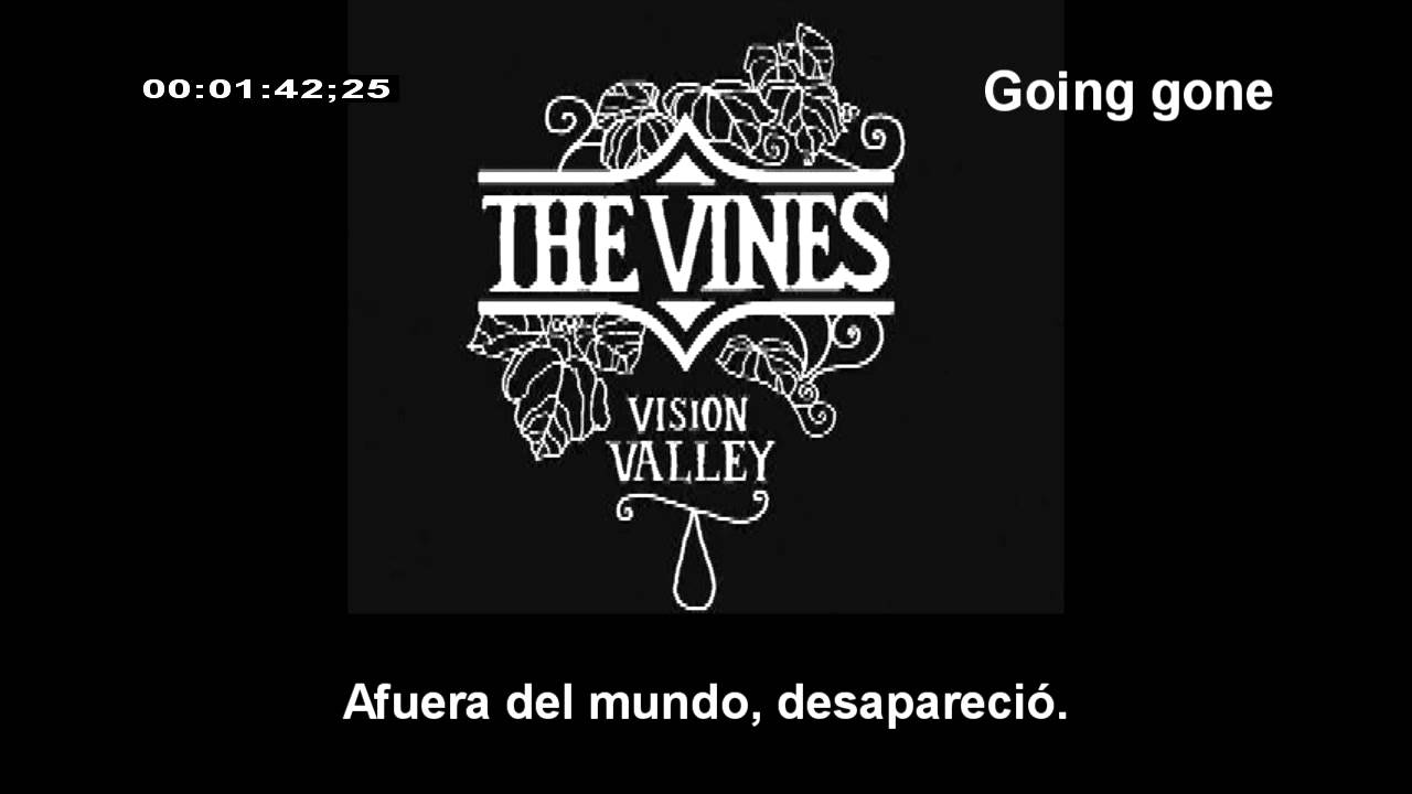 ⁣THE VINES