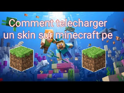 MINECRAFT TÉLÉCHARGER UN SKIN