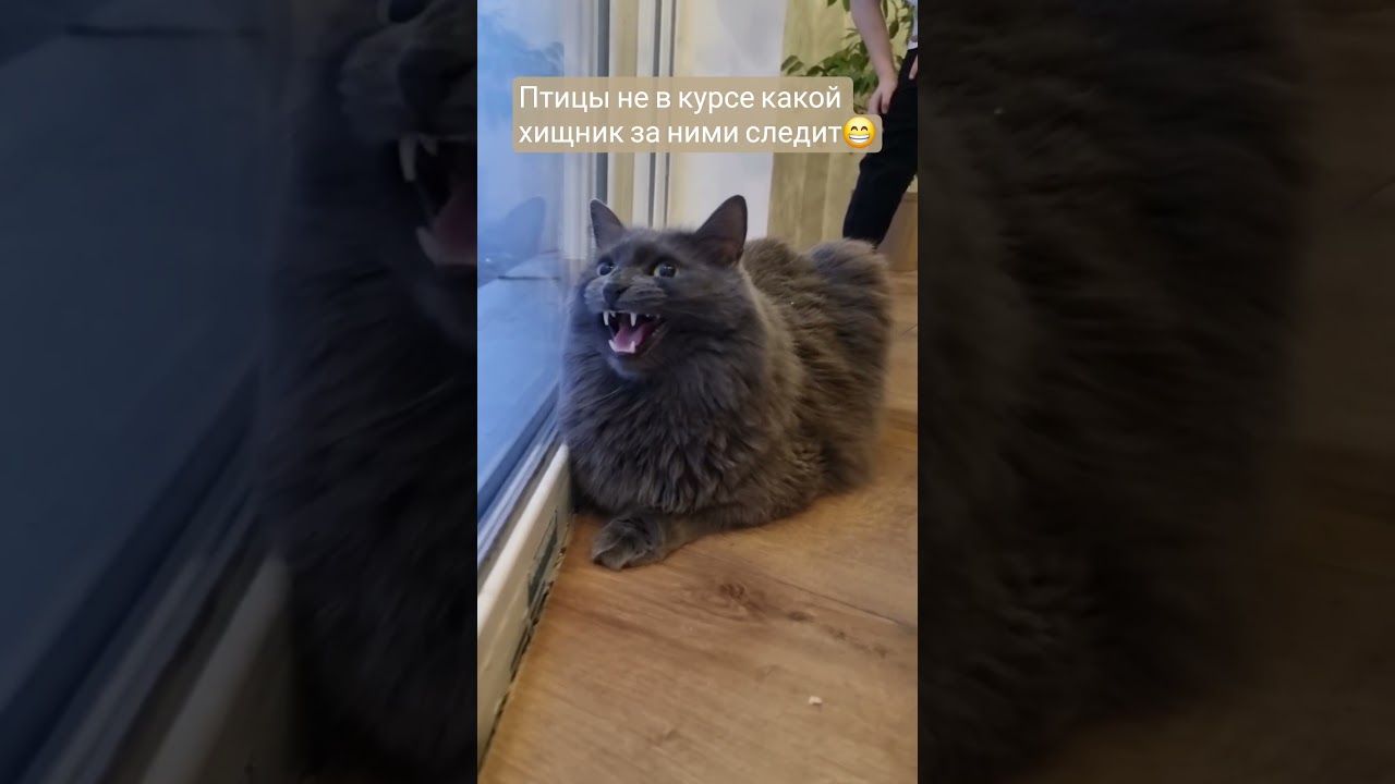 чуть не поймал 😃 