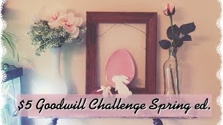 $5 Goodwill Challenge SPRING 2017