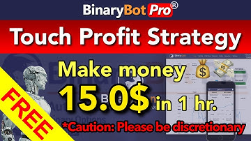 Binary Bot Pro | Touch Profit Strategy (2021) - Free Download