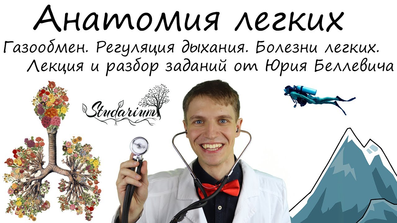 Посты с сайта studarium.ru