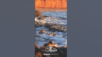 مقتطفات الليلة الثانية عشر من رمضان _2023 #تلاوة_مميزة #صلاة_التراويح #سورة_البقرة #رمضان