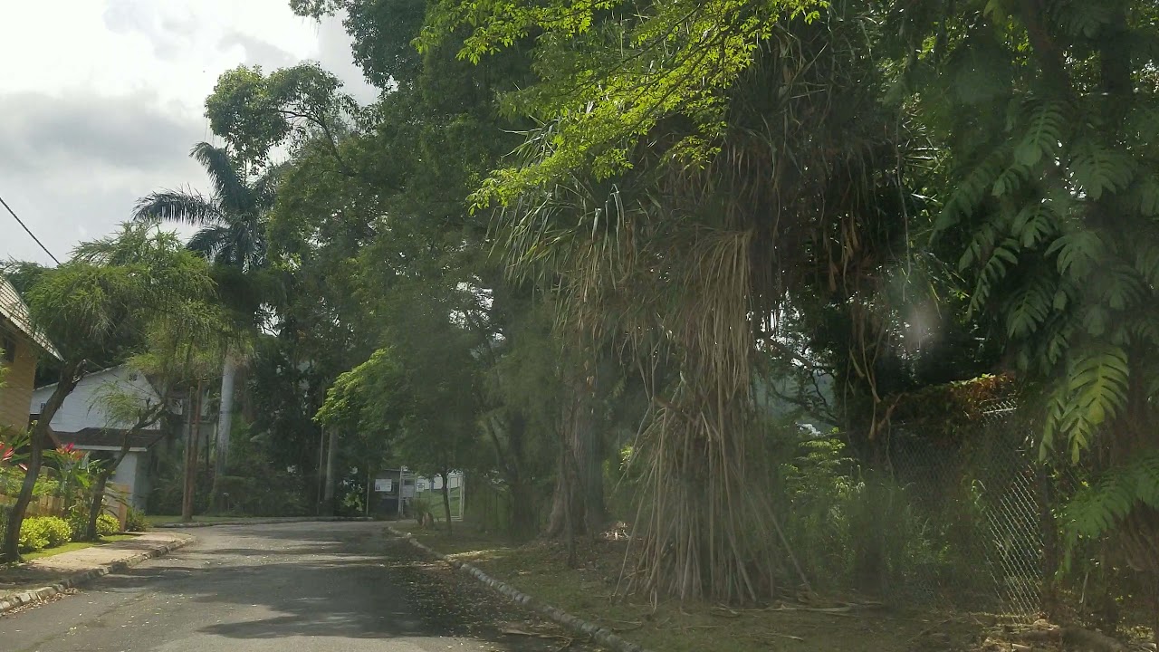 Norbrook Homes | Jamaica