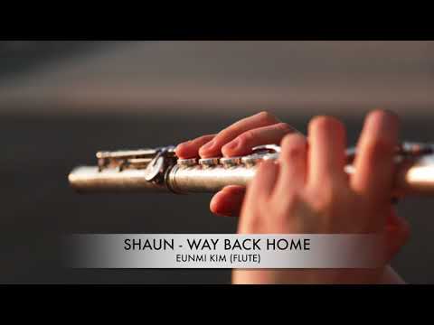 WAY BACK HOME (SCORE) - SHAUN