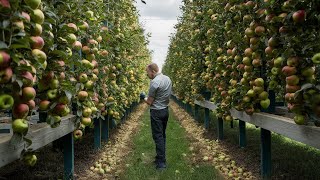 Revolutionizing Orchard Innovation: Apple Snack Agriculture Technology Explained by Tech Machine 455 views 1 month ago 6 minutes, 6 seconds