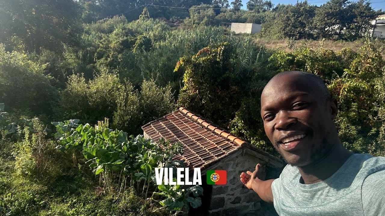 Conheça Vilela - Porto 🇵🇹