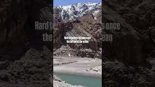 Glad that tectonic plates collided and #himalayas formed #spiti #tibet #ladakh
