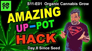 S11 E01 Best Cannabis Hack! How To Up-Pot Seedlings And Not Water Them For WEEKS! Pre-Moistened Soil
