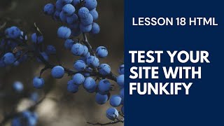 Test Your Site With Funkify | Lesson 18 | CODEBERRY