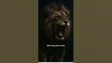 THE LION