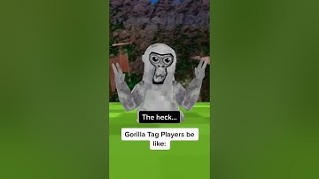 Watch out Gorilla Tag there