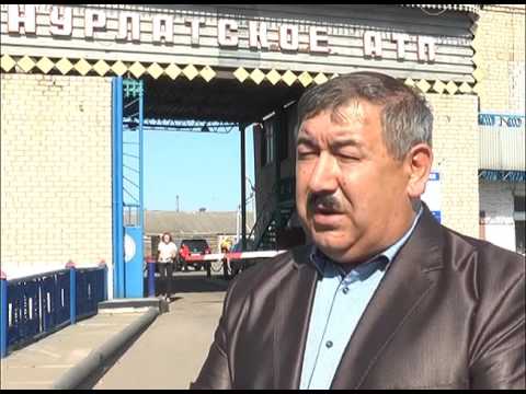Глава ни өчен автобуска утырды ?