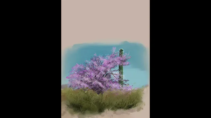 Sonoran Desert Spring